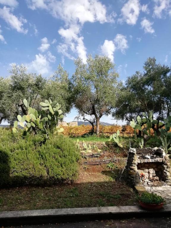 La Campagna Di Rosy Genzano di Roma Exterior foto