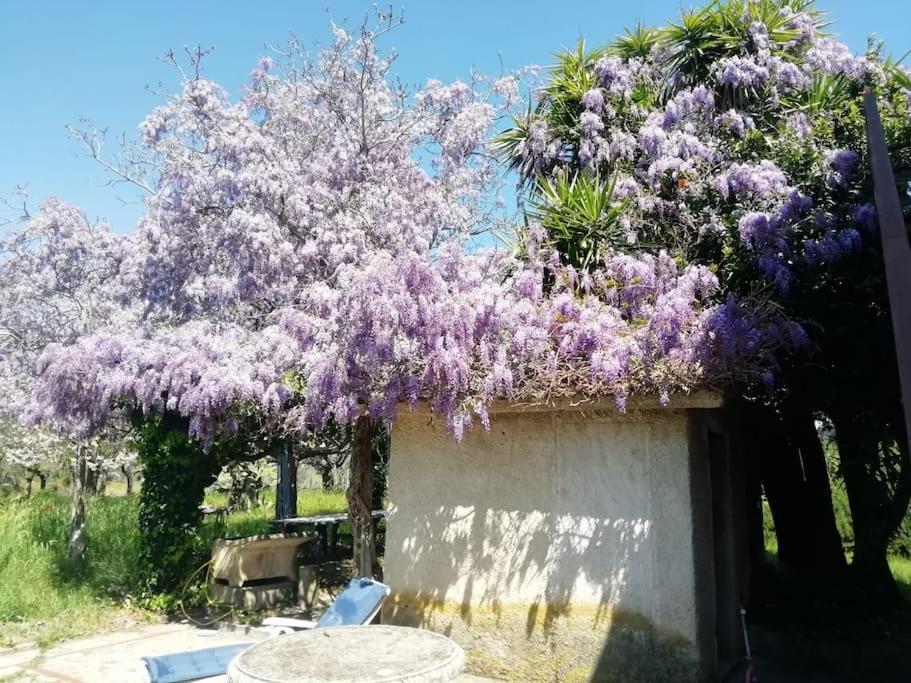 La Campagna Di Rosy Genzano di Roma Exterior foto