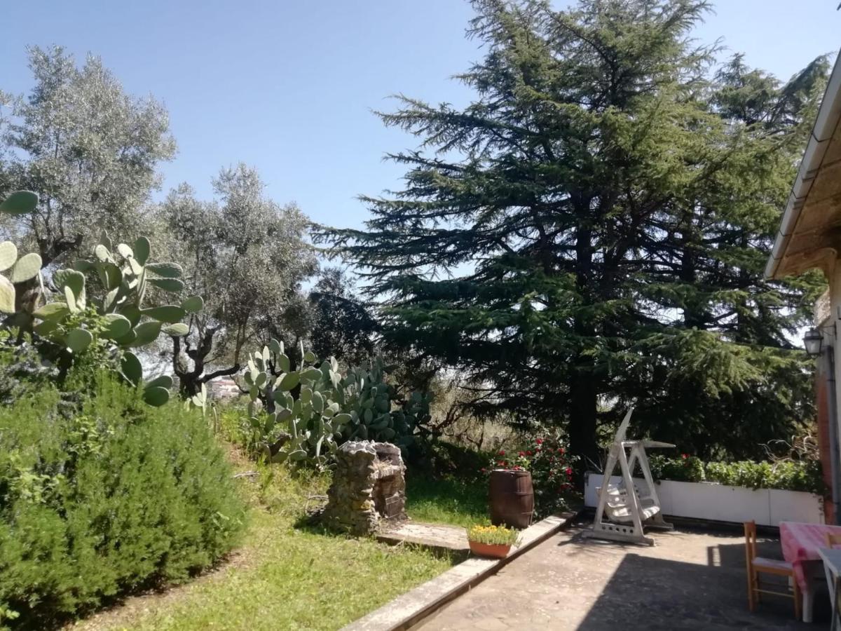 La Campagna Di Rosy Genzano di Roma Exterior foto