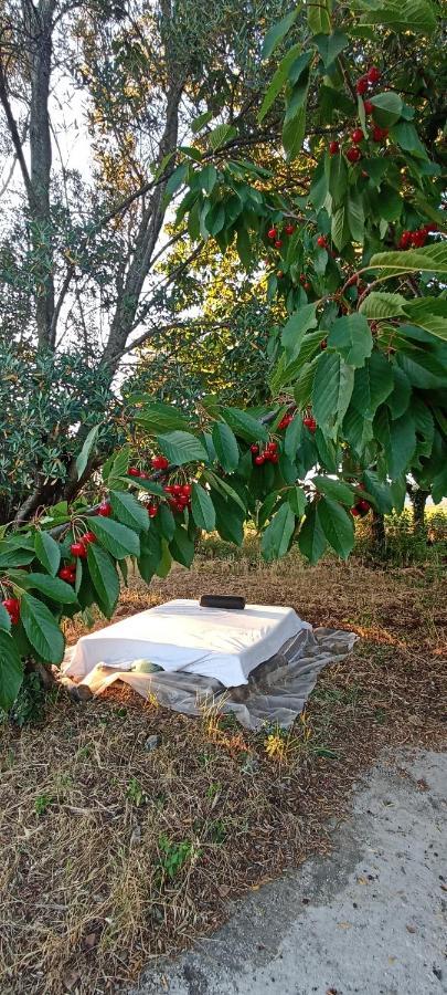 La Campagna Di Rosy Genzano di Roma Exterior foto